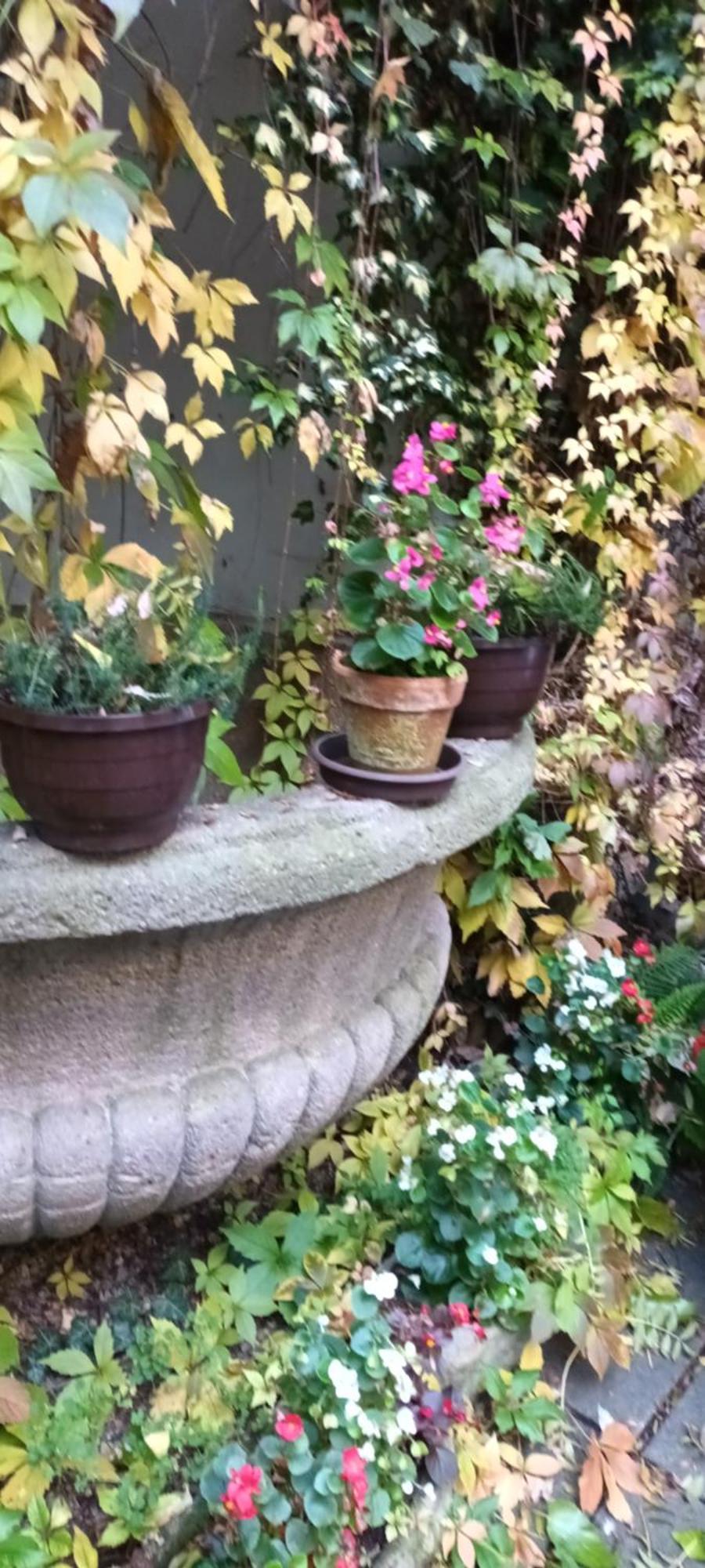Miraculous Apartament Praga